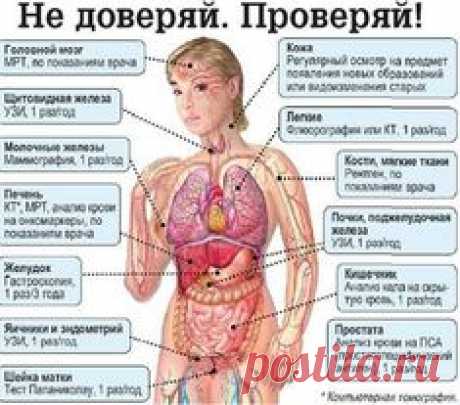 ДИАГНОСТИКА