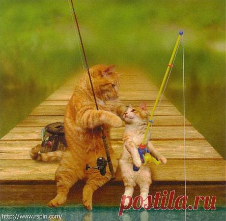 На рыбалке