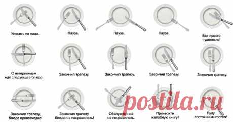 13 промахов, которые вы совершаете в ресторане