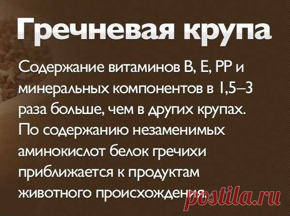 5 интересных фактов