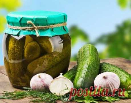 Соленые огурцы «Изумрудные» с лимонной кислотой - рецепт с фото / Простые рецепты
