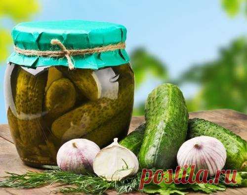 Соленые огурцы «Изумрудные» с лимонной кислотой - рецепт с фото / Простые рецепты