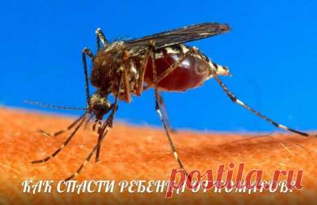 Умная мама