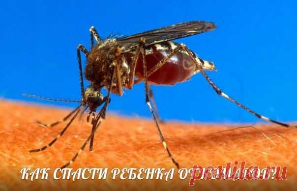 Умная мама