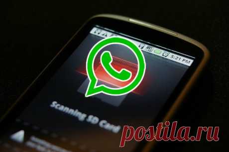 Как WhatsApp забивает память смартфона и что делать? | AndroidLime