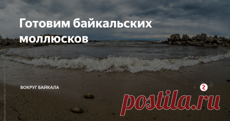 Готовим байкальских моллюсков - Съешь меня! Кажется именно это я и услышал, когда на берег Байкал выплеснул эти ракушки. Перловицы или беззубки точно не знаю, не представились. На вкус они одинаковы, а в описание в интернетах чётко не видно разницы. Сегодня о перловицах и несколько кулинарных изысков.   Раньше я перловиц, беззубок как то не встречал в Байкале. Может видел, но не обращал внимания просто. А тут море само вынесло