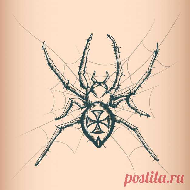 Винтаж Spyder рисунок Более миллиона свободных векторов, PSD, фотографии и бесплатные иконки. Эксклюзивные халявы и все графические ресурсы, которые необходимые для ваших проектов