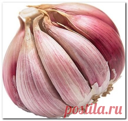 полезные рекомендации