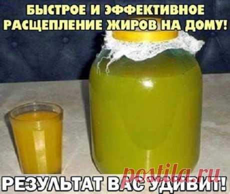 Всё самое интересное!: ЧАЙНЫЙ ГРИБ ДЛЯ ПОХУДЕНИЯ