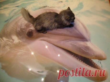 Одноклассники