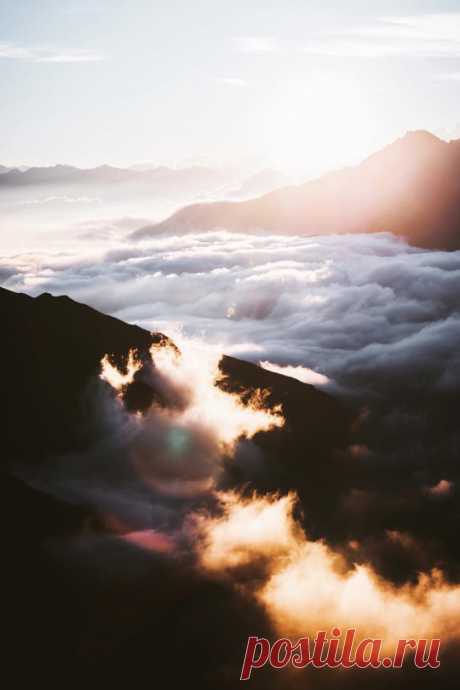 Tumblr