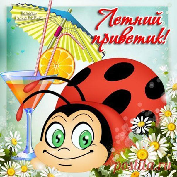 Веселые открытки Привет  Открытки Привет просто так