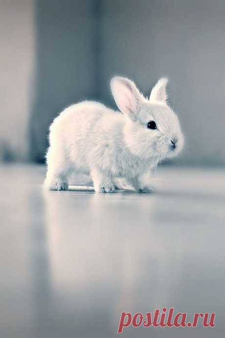 Ой, какое у вас тут все стерильное