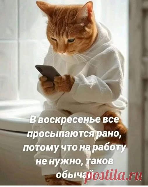 c9a5f092.jpg (508×640)