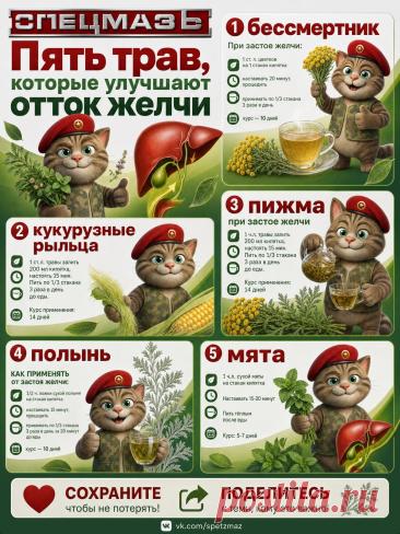 5 трав для улучшения оттока желчи