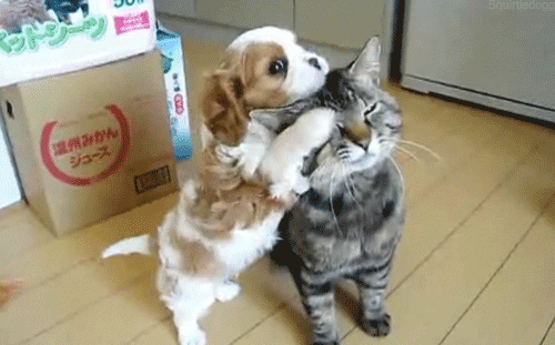 Artnar Gullason – Google+