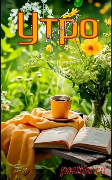 С добрым утром Привет Здрасте Добрый день