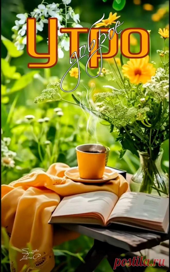 С добрым утром Привет Здрасте Добрый день