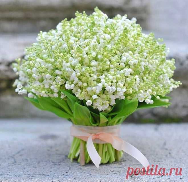 Утро доброе ,Мир!!! Счастливого дня!!!! Пусть в Вашей жизни всегда светит солнышко!!!:)
