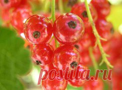Всем отличного настроения! Пятница!