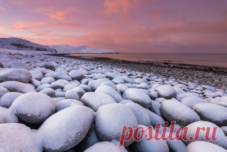 «Клюква в сахаре» Валуны на берегу Баренцева моря. Автор фото – Антон Петрусь: nat-geo.ru/photo/user/50290/