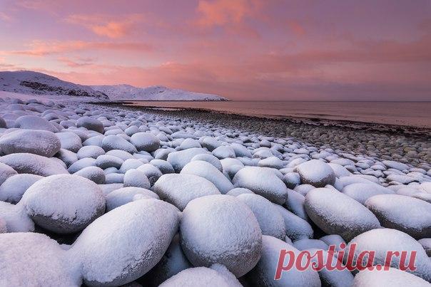 «Клюква в сахаре» Валуны на берегу Баренцева моря. Автор фото – Антон Петрусь: nat-geo.ru/photo/user/50290/
