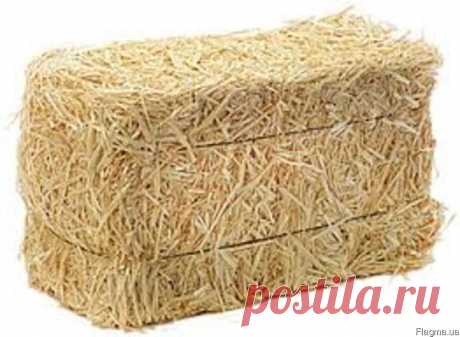 Продам ячневую солому в тюках 2014 года. цена, фото, где купить Синельниково