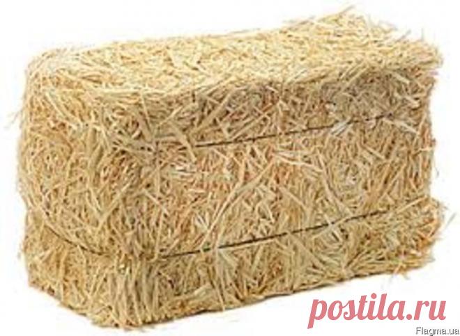 Продам ячневую солому в тюках 2014 года. цена, фото, где купить Синельниково
