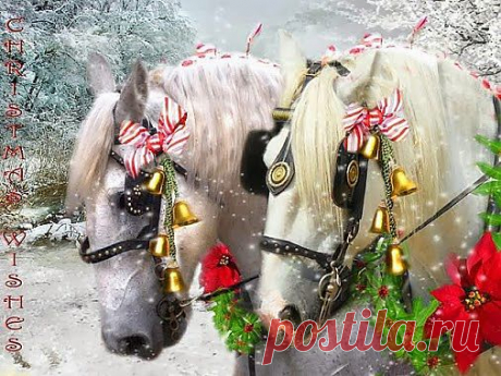 НОВОГОДНЯЯ!