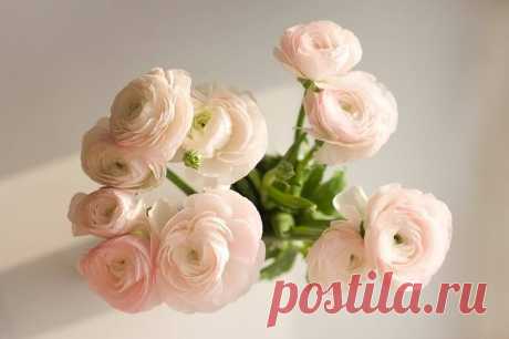 (99) Facebook