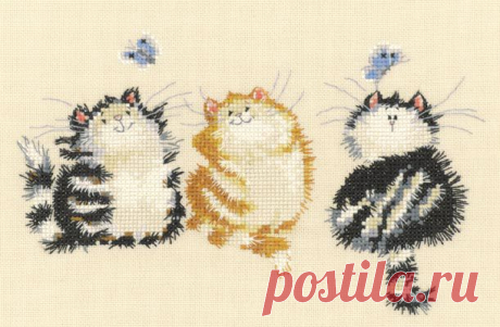 cats 2
