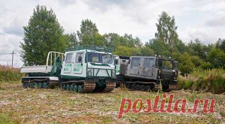 Тест-драйв вездехода BV-206 (БВ-206) «Лось»: карбюратор, АКПП и 55 градусов уклона - Колеса.ру