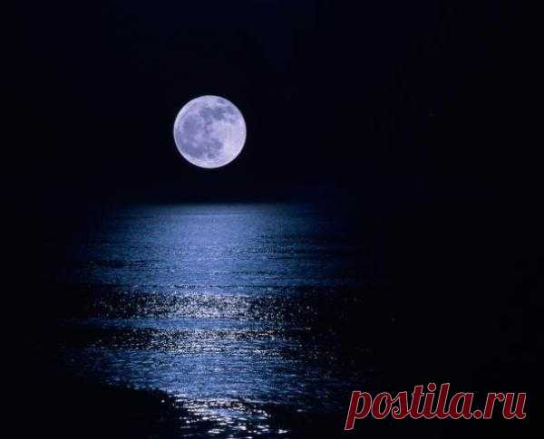 h-11488.jpg (600×485)