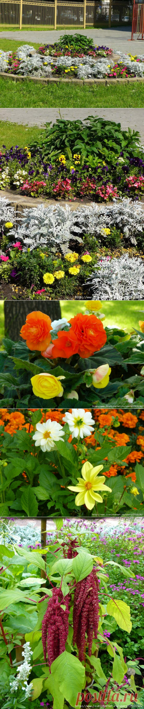 Фестиваль цветников 2