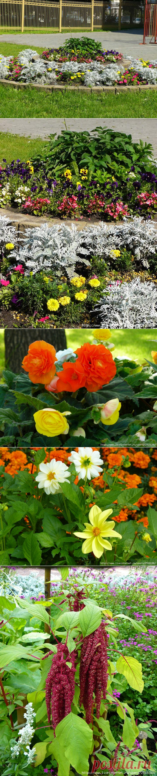 Фестиваль цветников 2