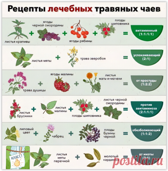 Напиток 