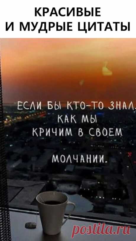 Красивые и мудрые цитаты