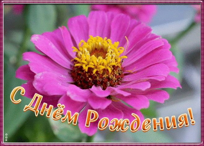 Анимационная Картинка с днем рождения девушке