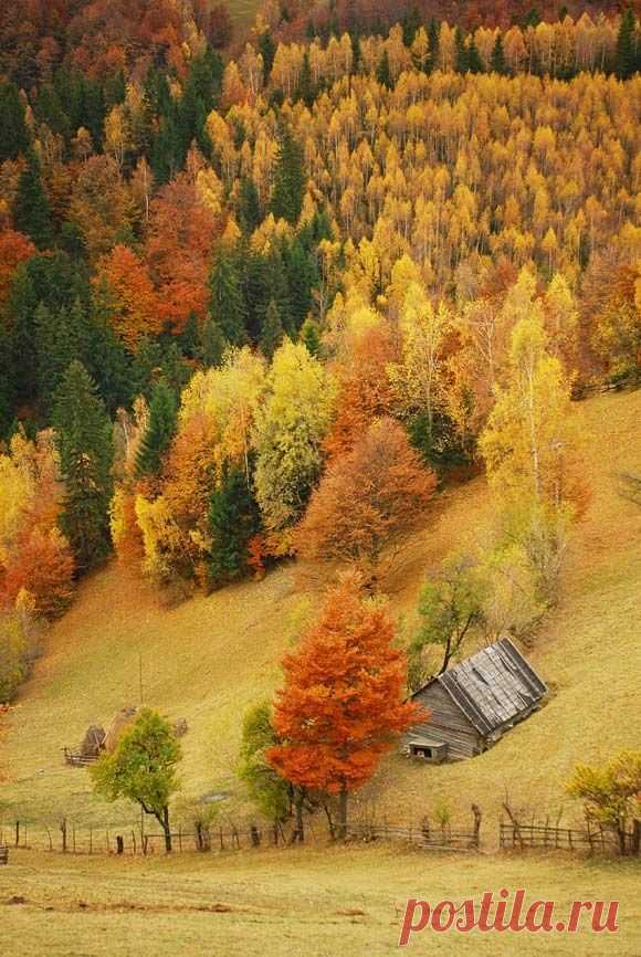 Fall In Love!  |  Найдено на сайте ionwkathy.tumblr.com.