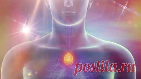 "Точка счастья" в организме человека | Путь к счастью | Яндекс Дзен