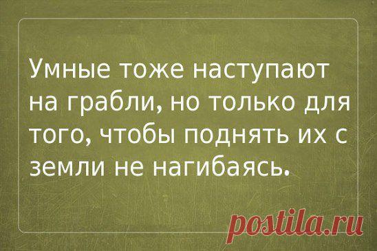 Жалюзи, Москитные сетки