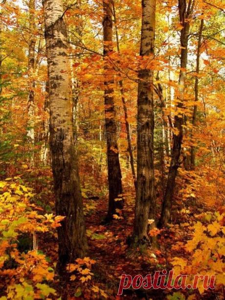 i (600×800)