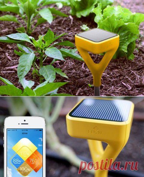 Вы не одиноки в стремлении к идеальному урожаю | Е-генератор: идеи, концепции, реклама, креатив