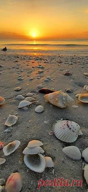 Beach Sunrise  |  Найдено на сайте everydayhomeblog.com.