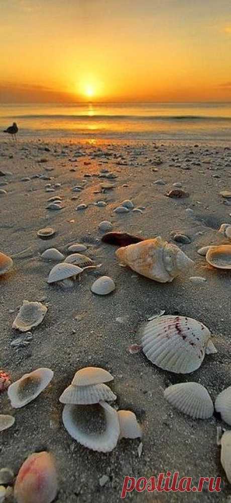 Beach Sunrise  |  Найдено на сайте everydayhomeblog.com.