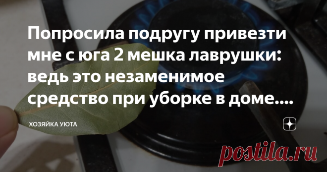 Попросила подругу привезти мне с юга 2 мешка лаврушки: ведь это незаменимое средство при уборке в доме. Даже нечисть изгоняет Статья автора «ХОЗЯЙКА УЮТА» в Дзене ✍:  Моя подруга собралась ехать в отпуск на юг и спросила, что привезти мне в качестве подарка.