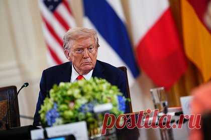 Трамп рассказал о хорошем шансе урегулировать конфликт на Украине