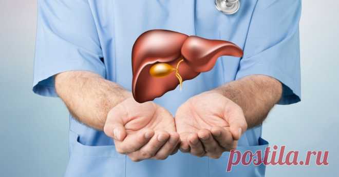 8 признаков того, что ваша печень нуждается в восстановлении | Здоровый Дух | Дзен