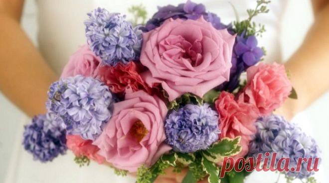 Как полюбить себя. Советы Луизы Хей..