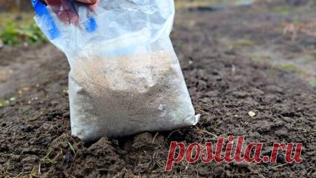 Навоз действительно прошлый век. Весной всего 1 ложка такого удобрения в землю заменяет тележку коровьих лепешек. | Сад огород life | Дзен